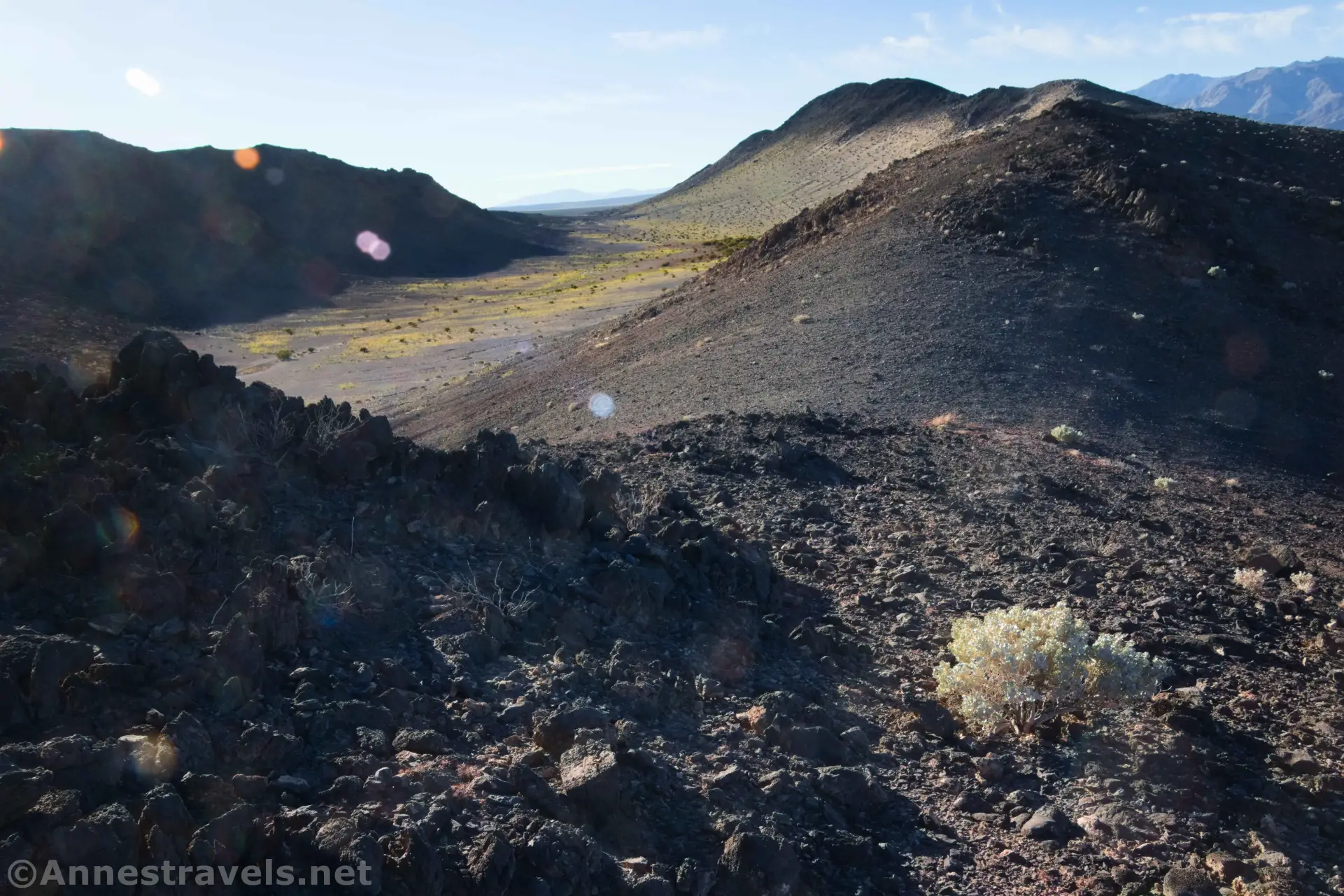 The First Pass A bush in a pass between two volcanic hills with yellow wildflowers in the valley below