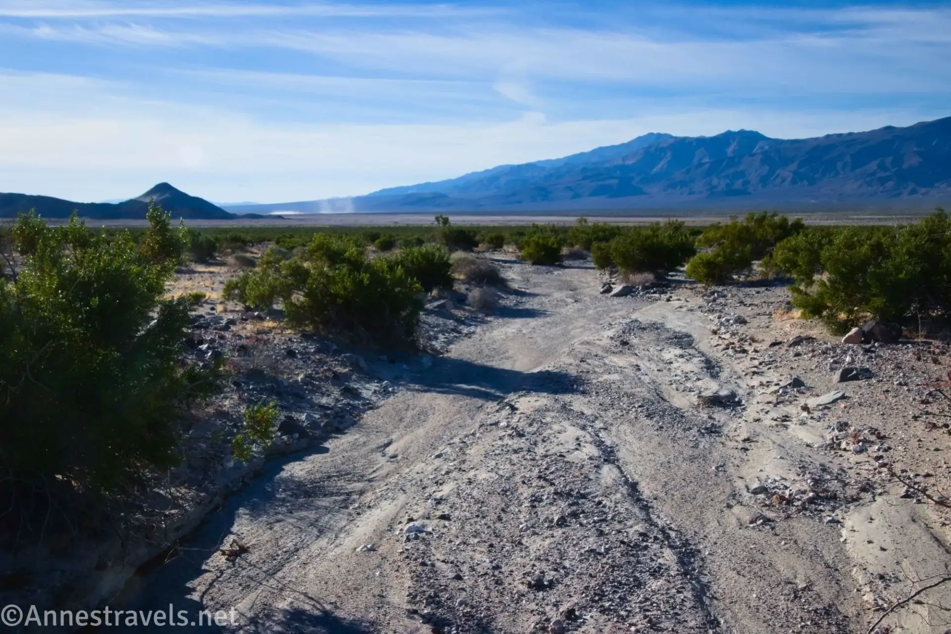 Wash in Panamint Valley A dry wash travels between green brush with distant desert mountains