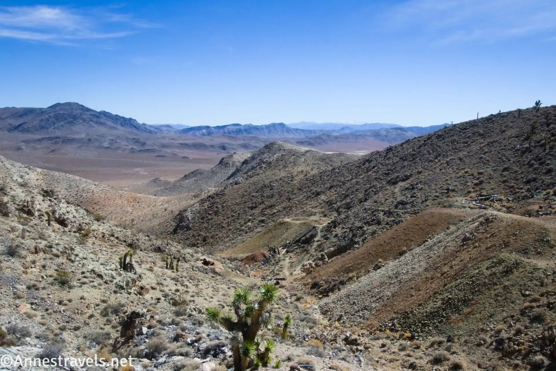Above the Lost Burro Mine Desert valley with Joshua trees with old mine roads and distant rugged mountains