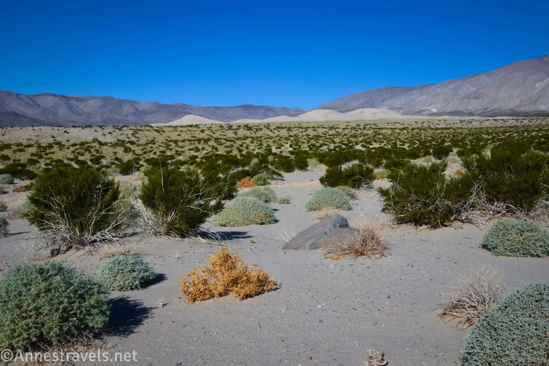 The Dunes in the Distance A brushy plain with sand dunes against the mountains