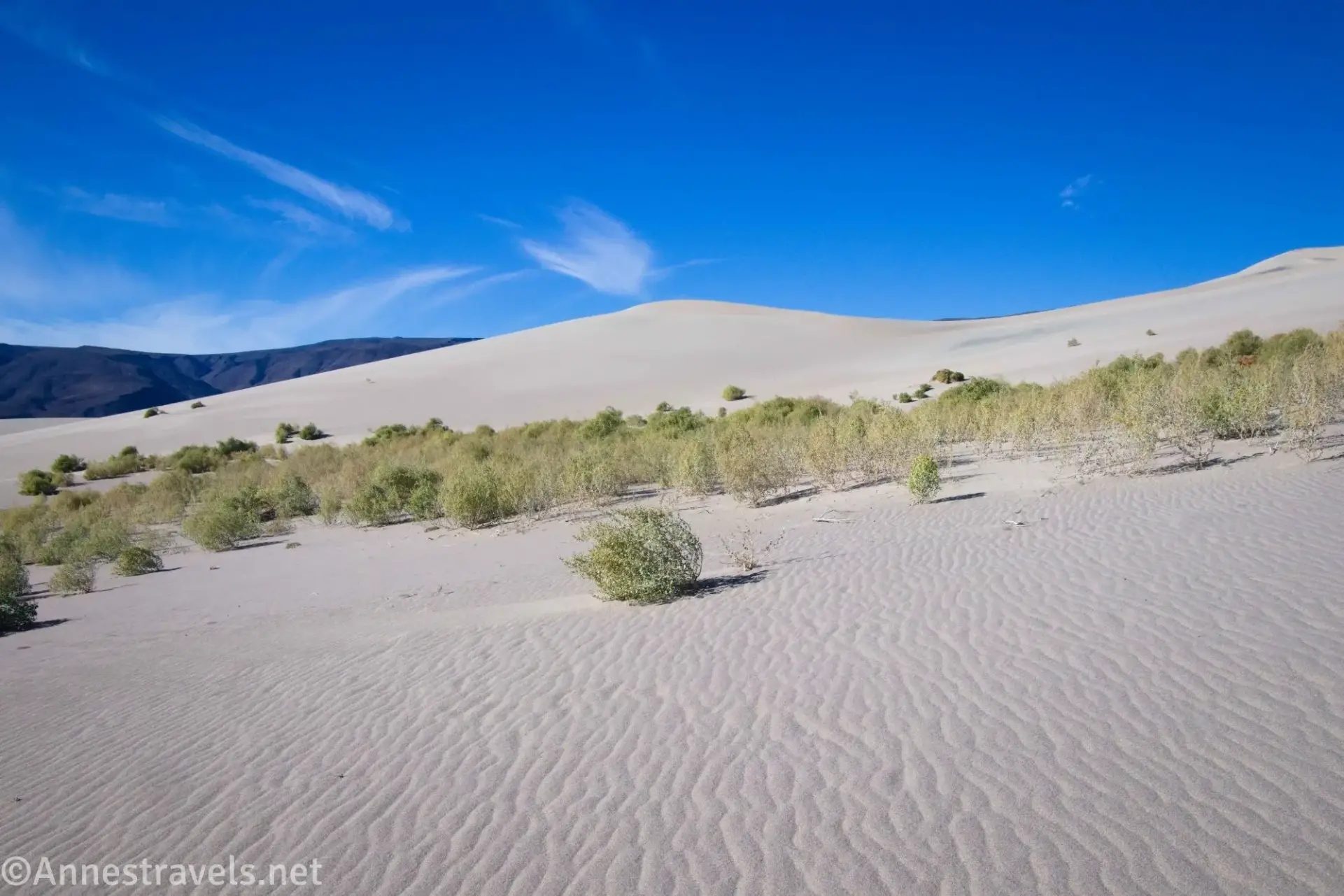 Approaching Panamint Dunes Rippled sand leads to brush at the base of sand dunes