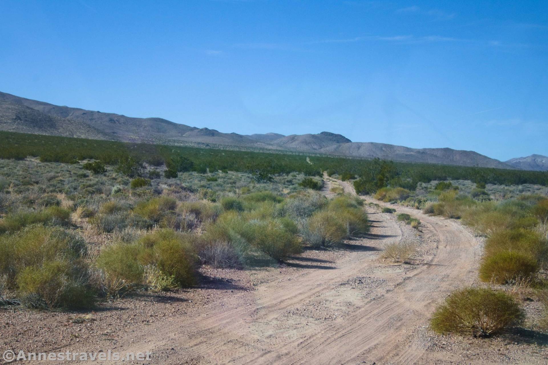 Greenwater Townsite Road South, Death Valley National Park, California