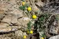Monarch Canyon, Death Valley National Park, California