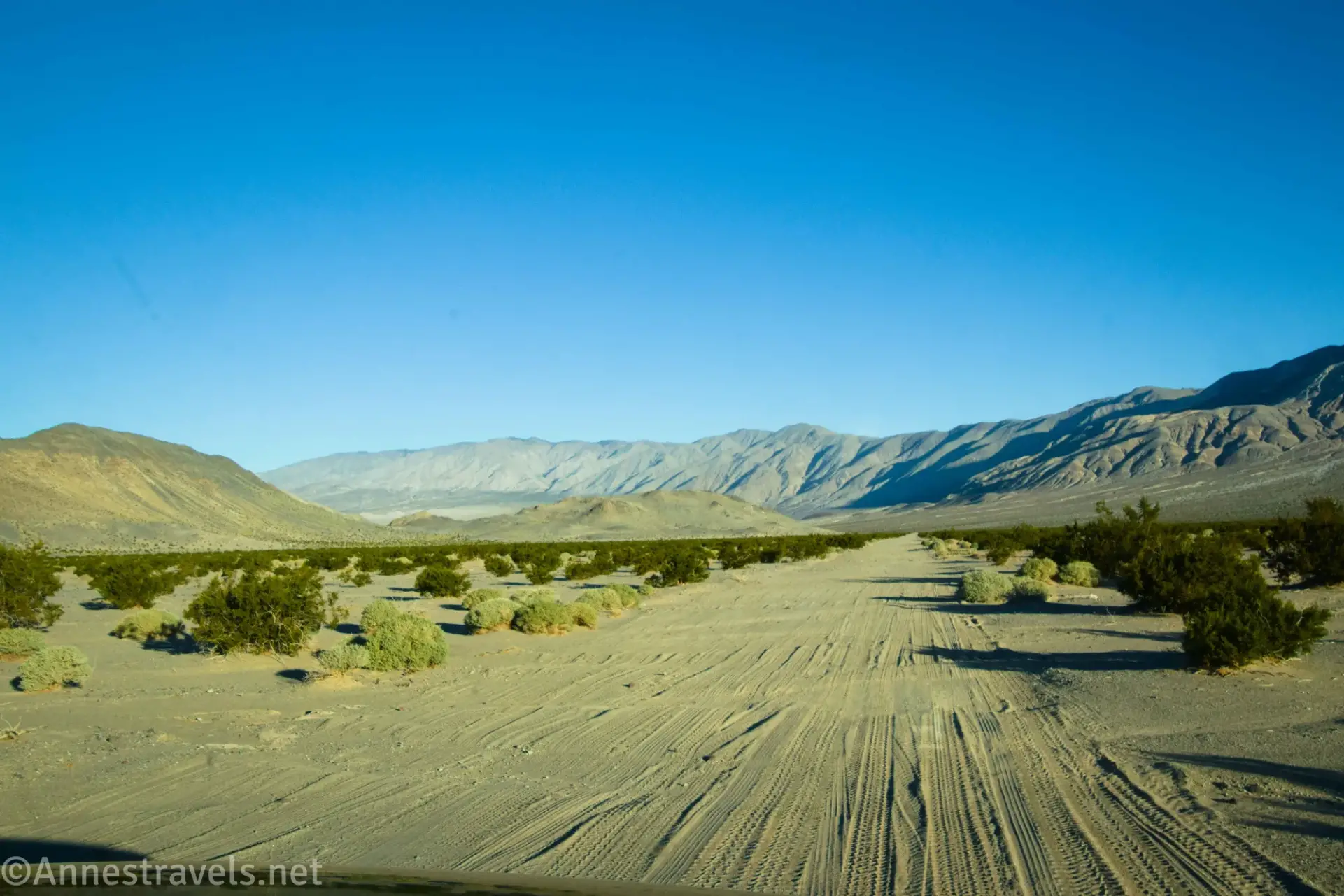 A dirt road with many tire tracks between desert bushes and mountains/hills
