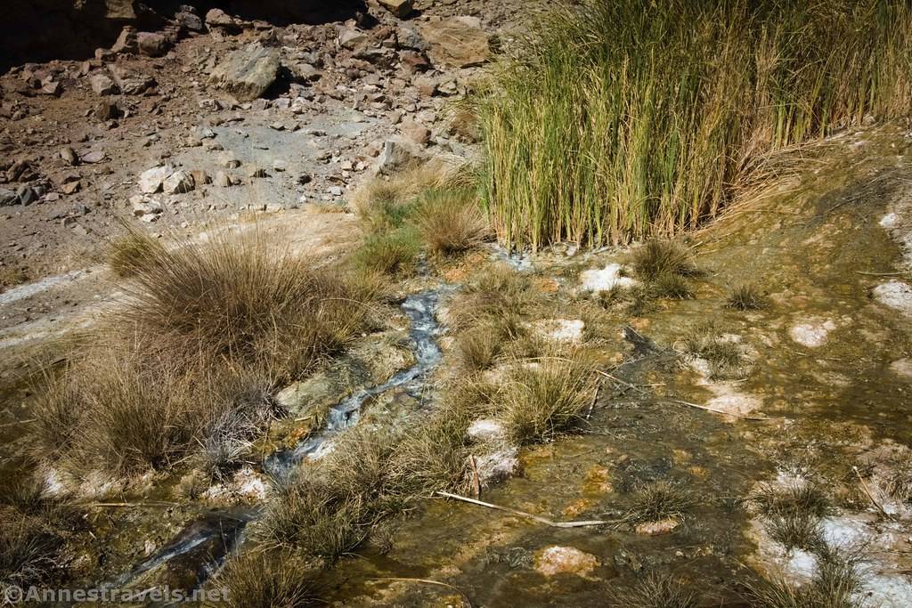Source of the Keane Wonder Spring, Death Valley National Park, California