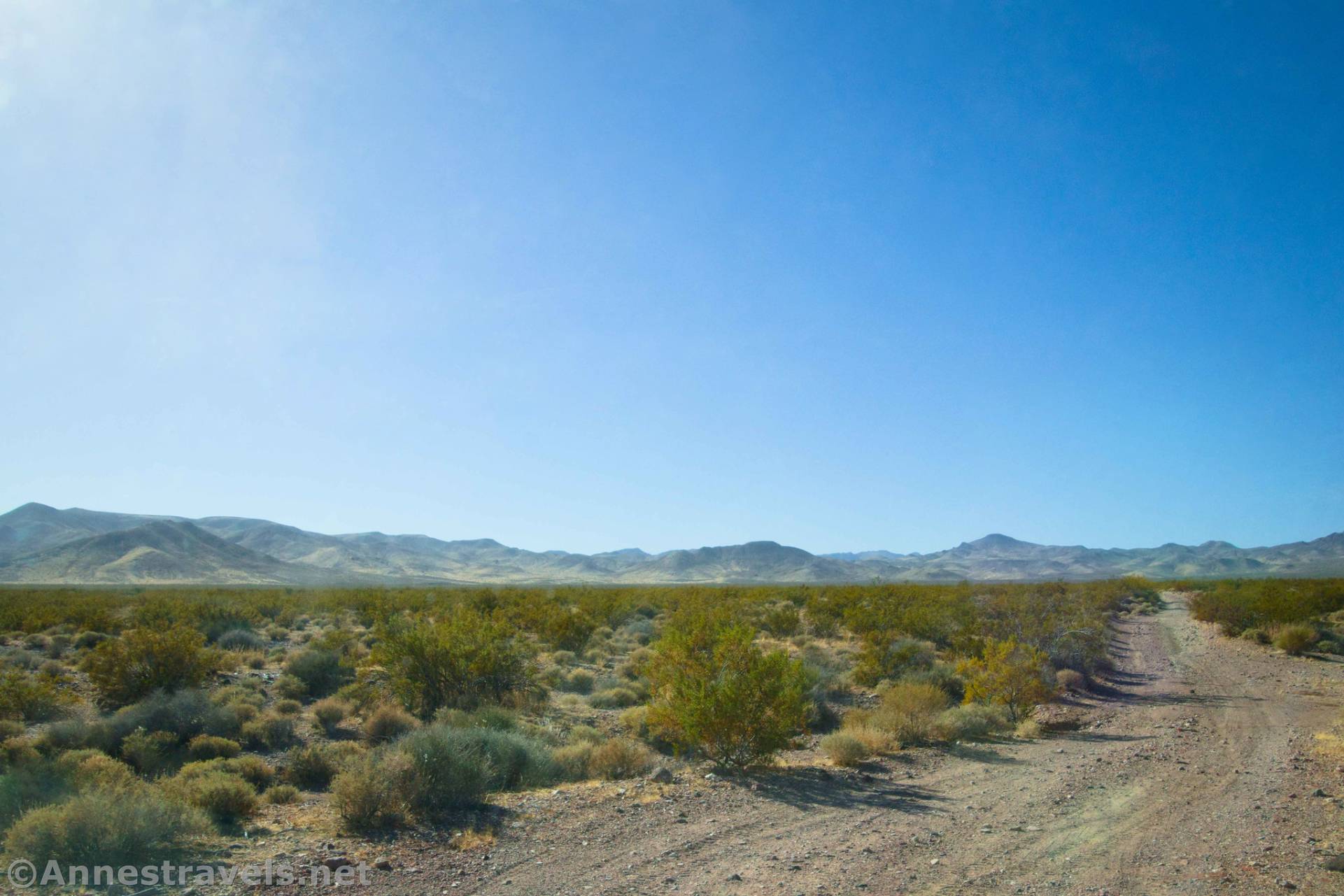 Gold Valley Road, Death Valley National Park, California
