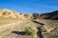 South Fork of Desolation Canyon Wash A bush in a gravelly wash which leads to yellow hills and blue sky