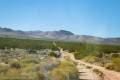 Greenwater Townsite Road (South), Death Valley National Park, California