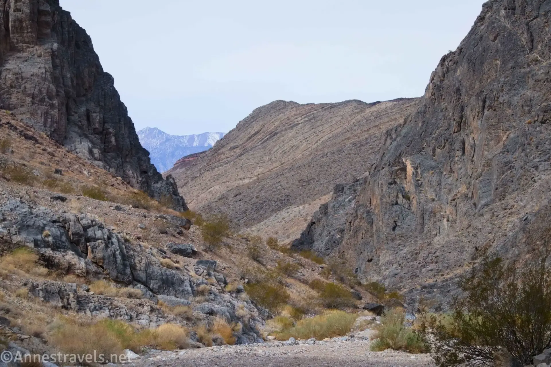 Mountains over a desert canyon with bushes