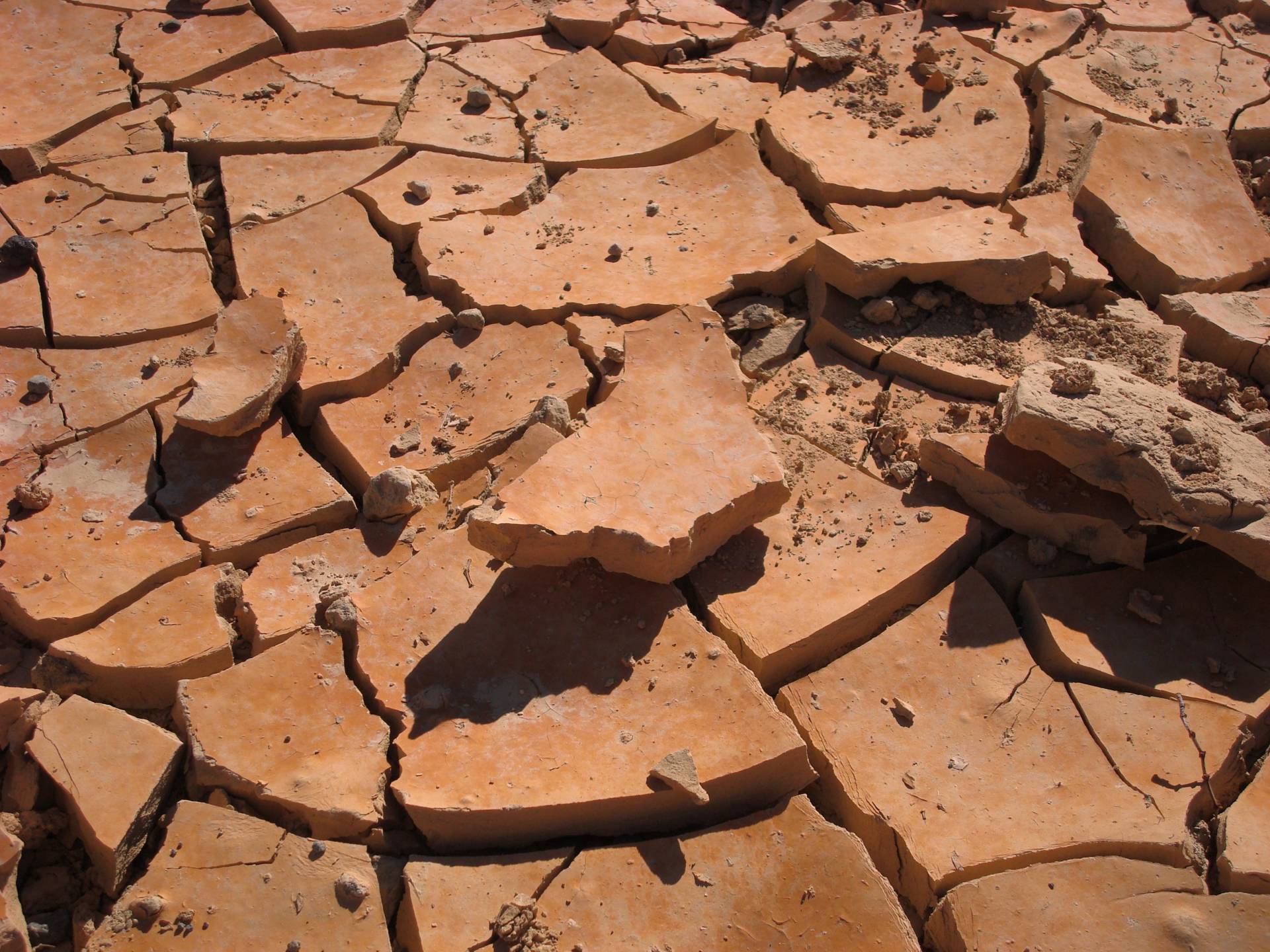Clay at the bottom of Ubehebe Crater, Death Valley National Park, California