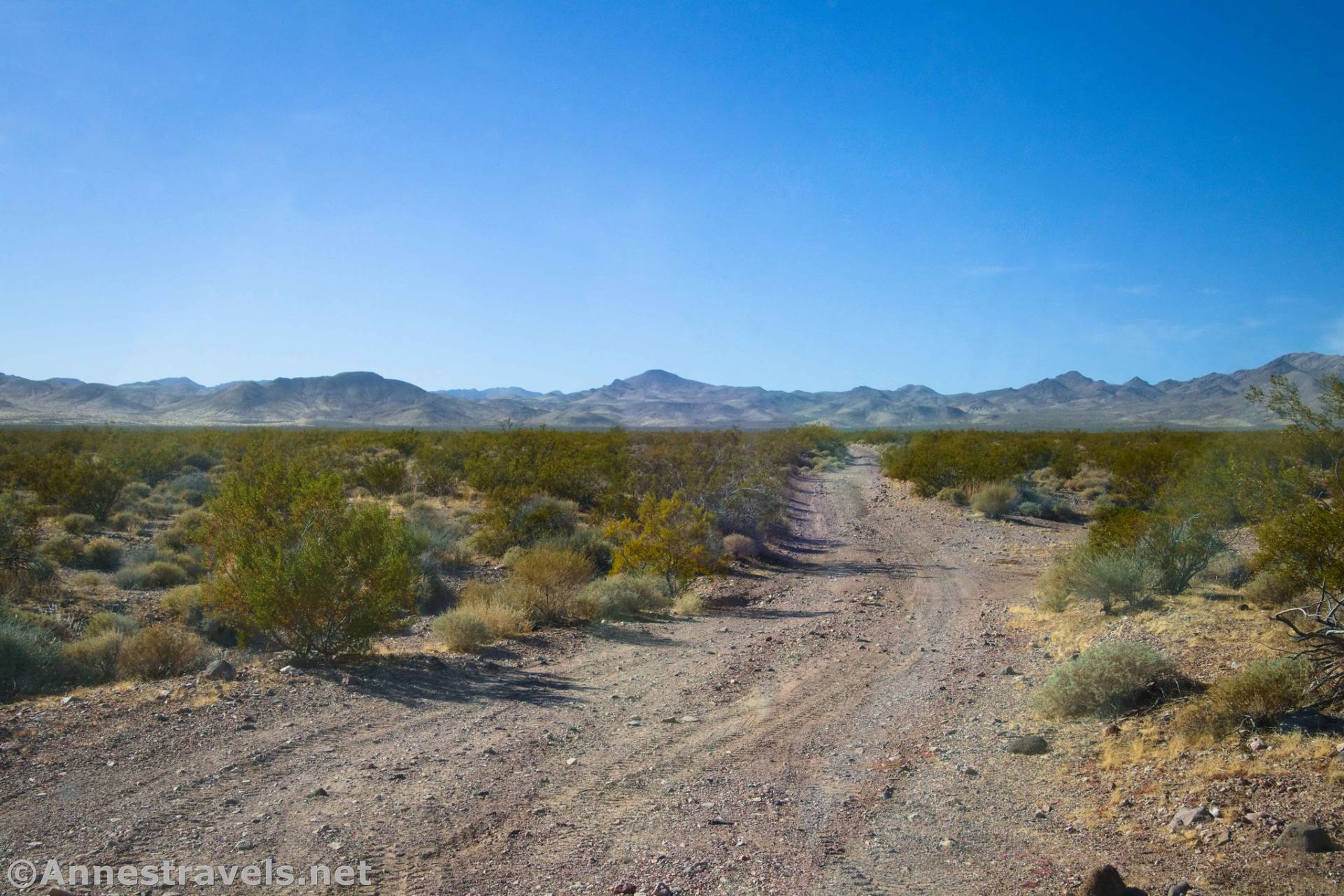 Gold Valley Road, Death Valley National Park, California
