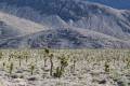 Racetrack Road, Death Valley National Park, California