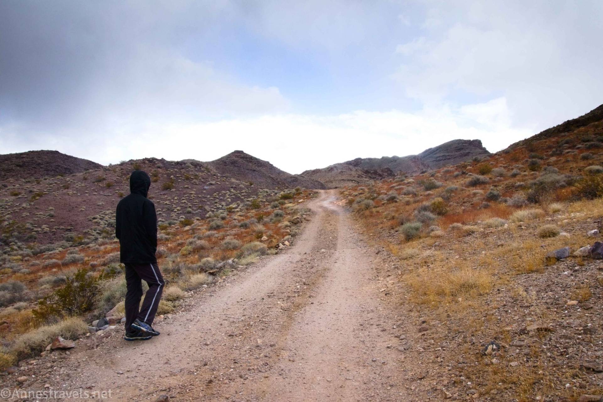 Lee's Camp Road, Death Valley National Park, California