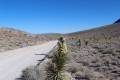 Racetrack Road, Death Valley National Park, California