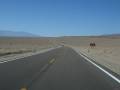 CA-190 near Salt Creek, Death Valley National Park, California