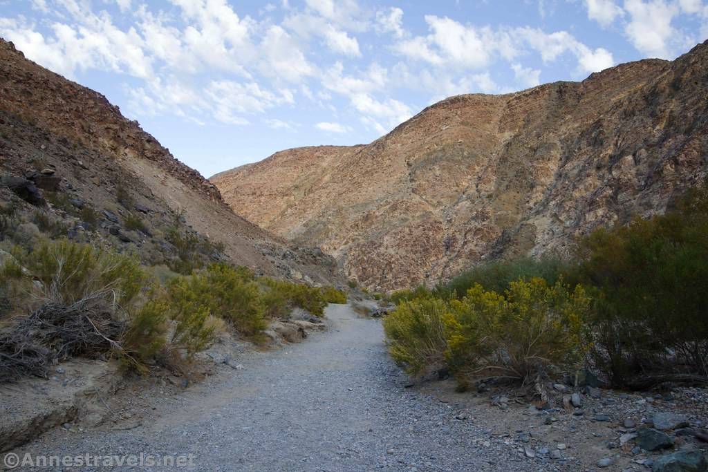 A desert canyon with brush and a trail and clouds above