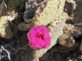 Monarch Canyon, Death Valley National Park, California