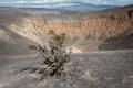 Bush on the rim of the Ubehebe Crater, Death Valley National Park, California