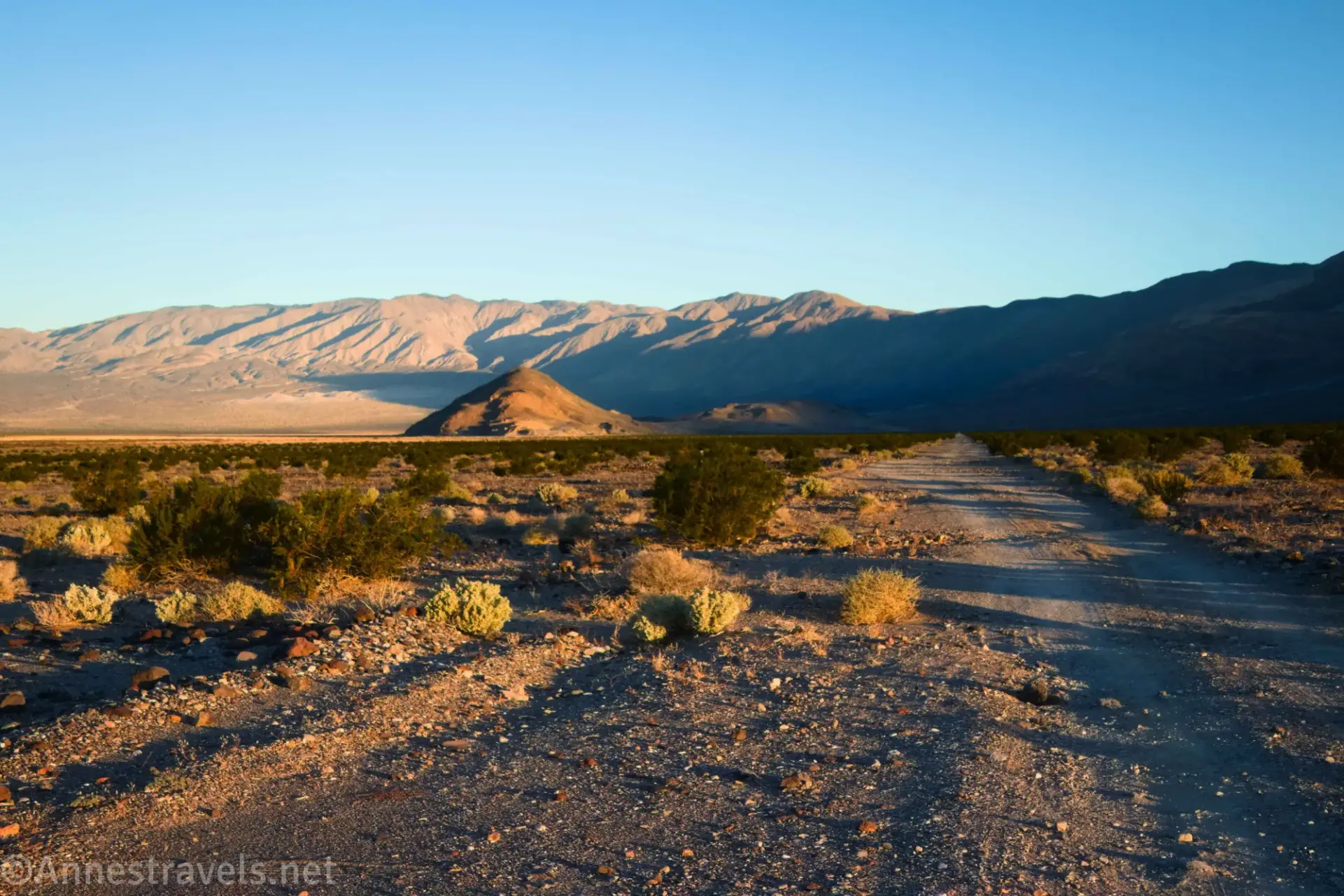Early morning sunshine on a dirt road, a scrubby desert plain, and desert hills and mountains