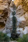 Monarch Canyon, Death Valley National Park, California