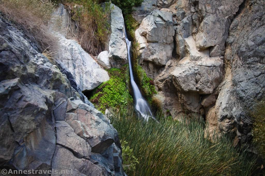 A waterfall appears from between rocks and flows down into bushes