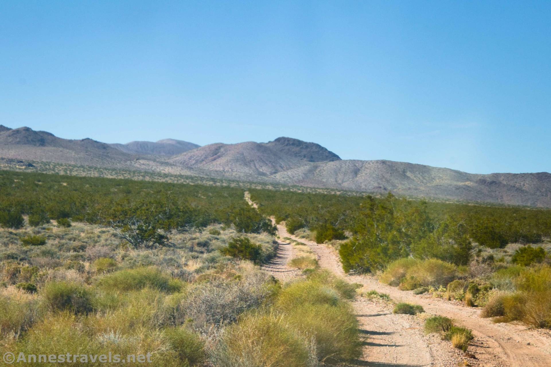 Greenwater Townsite Road (South), Death Valley National Park, California