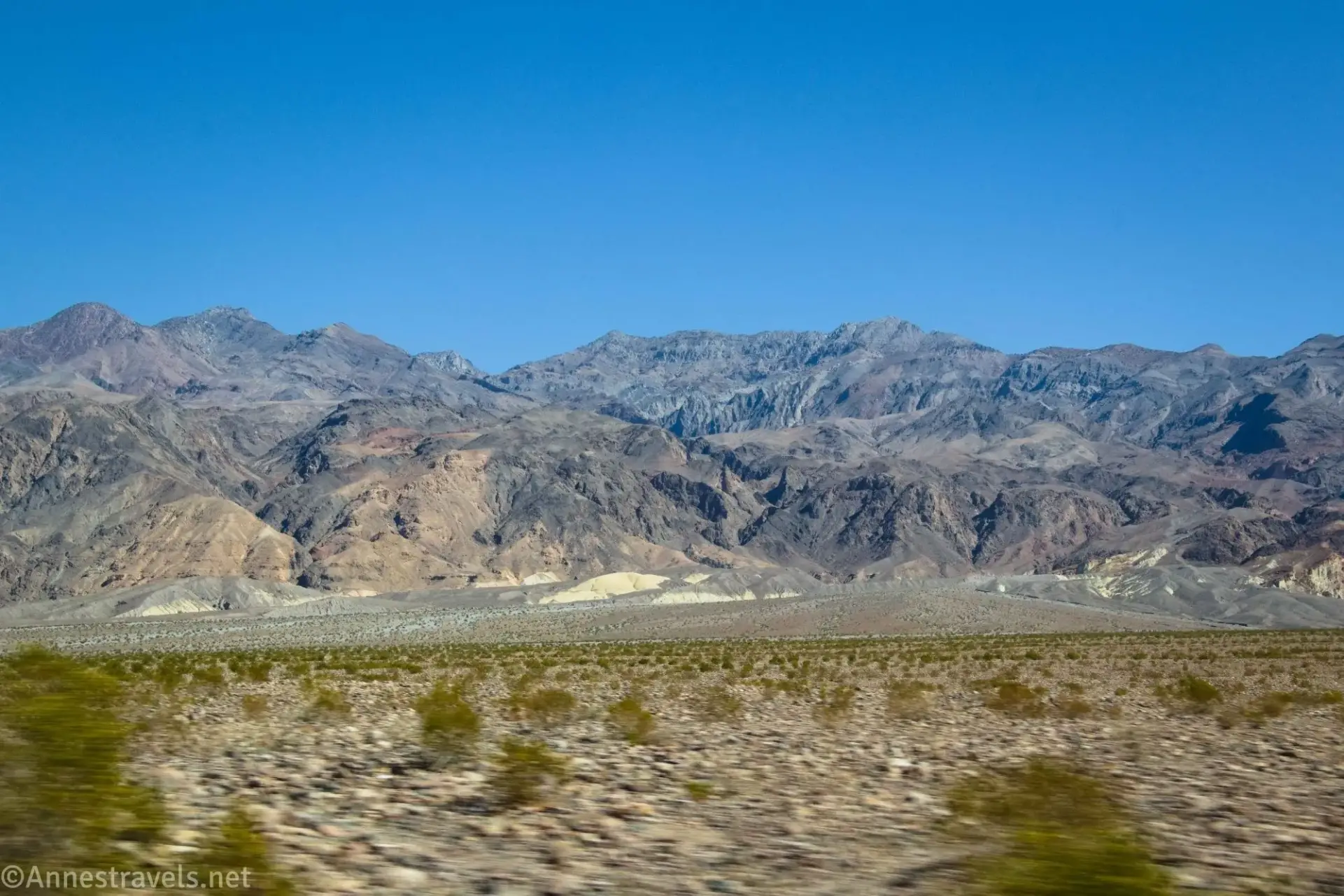 Desert and blurry greesebushes below rocky desert mountains