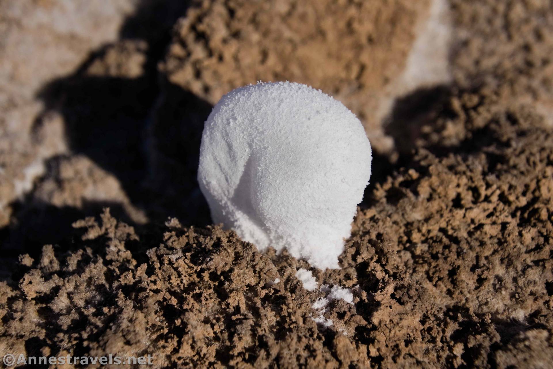 A salt bubble on Badwater Flats, Death Valley National Park, California