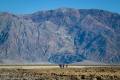 Hiking back east across Badwater Flats, Death Valley National Park, California