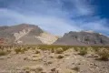 Walking toward Ubehebe Canyon A brushy desert plain with distant gray and brown mountains
