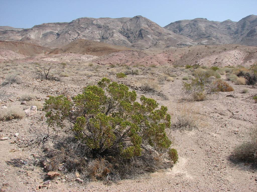 Below Monarch Canyon, Death Valley National Park, California