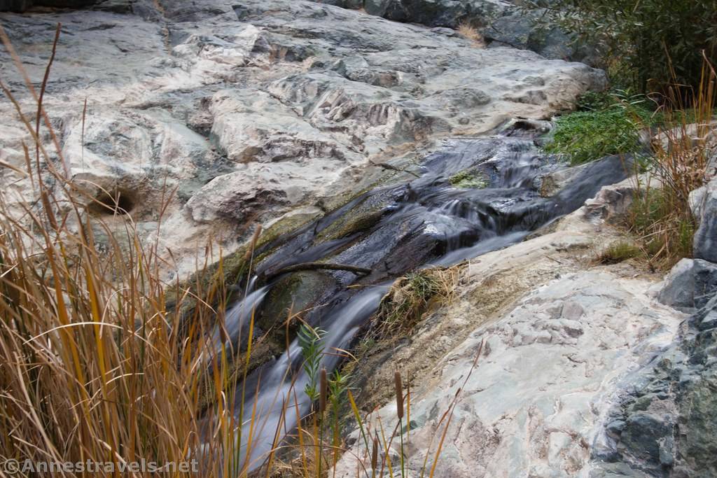 A small waterfal down a rock face with yellow rushes
