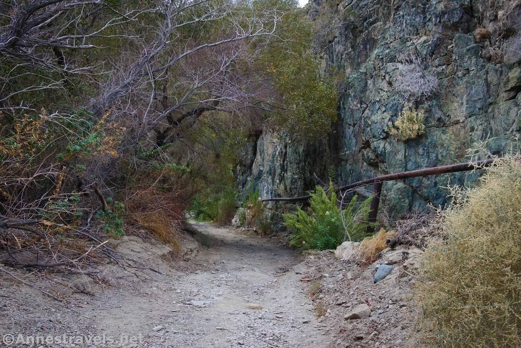 A pipe on the rock wall of a canyon next to a trail