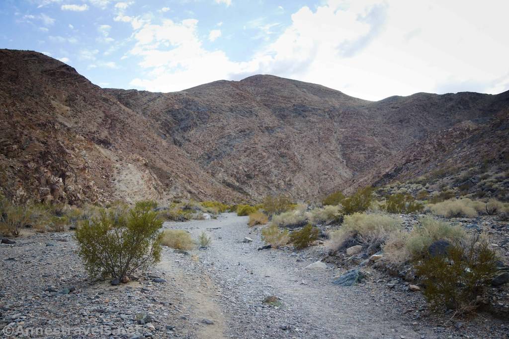 A dry desert canyon with sparce brush