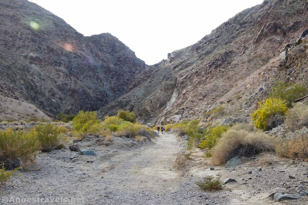 A dry desert canyon with sparce brush and some hikers on a trail