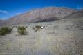 Hiking up the first part of the Willow Canyon Trail, Death Valley National Park, California