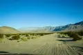 A dirt road with many tire tracks between desert bushes and mountains/hills